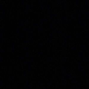 Meet your Posher, Lee